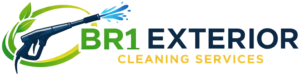 Best Exterior Cleaning Services