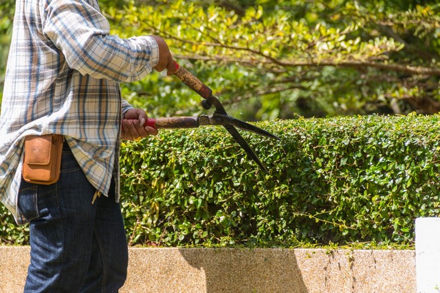 Garden Maintenance Croydon