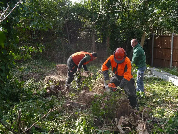 Garden clearance in croydon