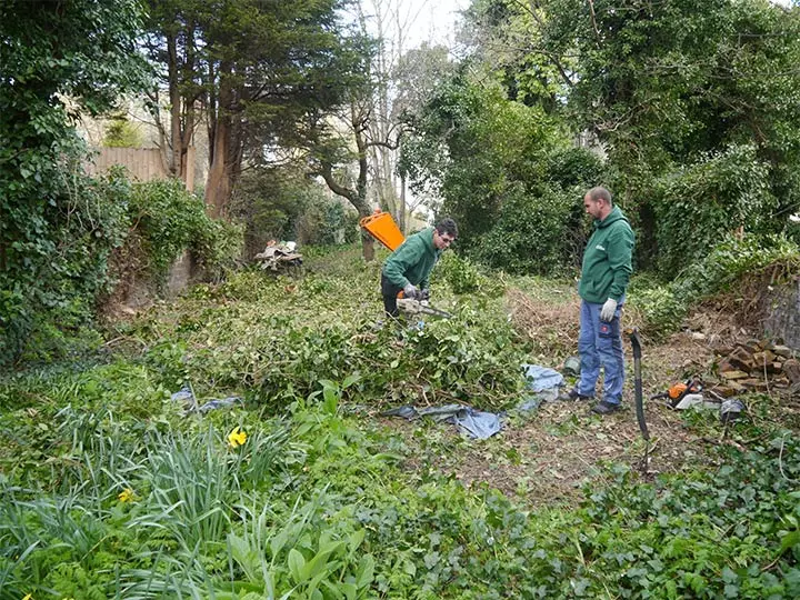 Overgrown Garden Clearance Croydon