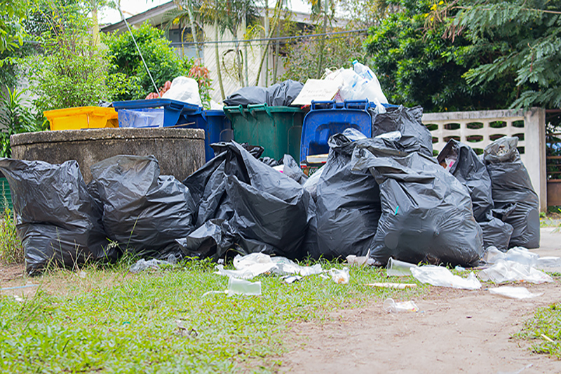 Rubbish Removal Services in Sanderstead